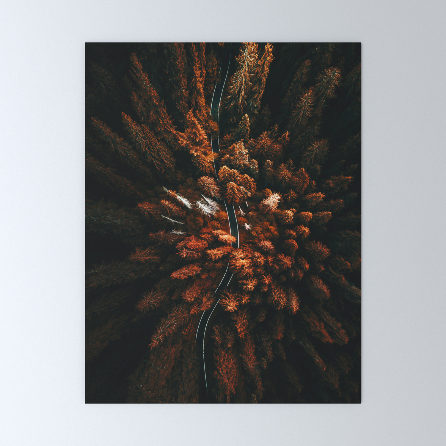 Red Forest In North America Mini Art Print By Franckreporter