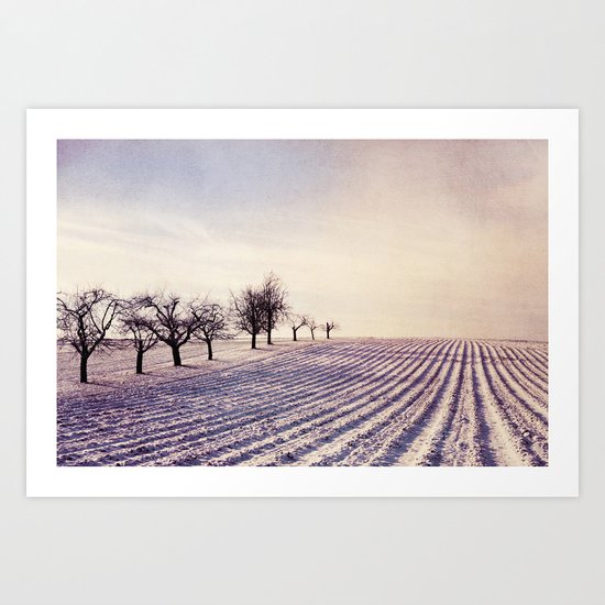 Winter Field 3 Art Print