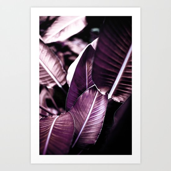 Red Leaves Art Print