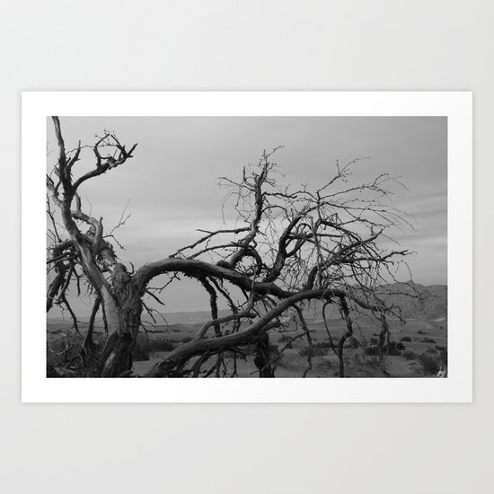 "I met a traveller from an antique land..." Art Print