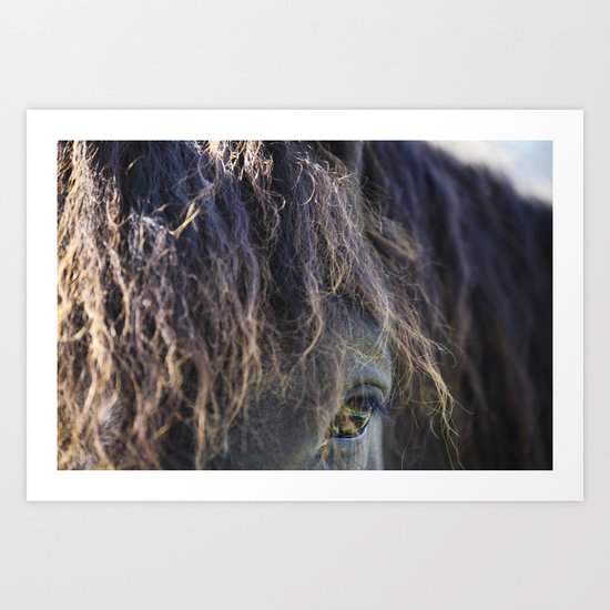 Details of A Horse Art Print