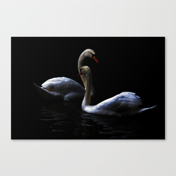 swans Canvas Print