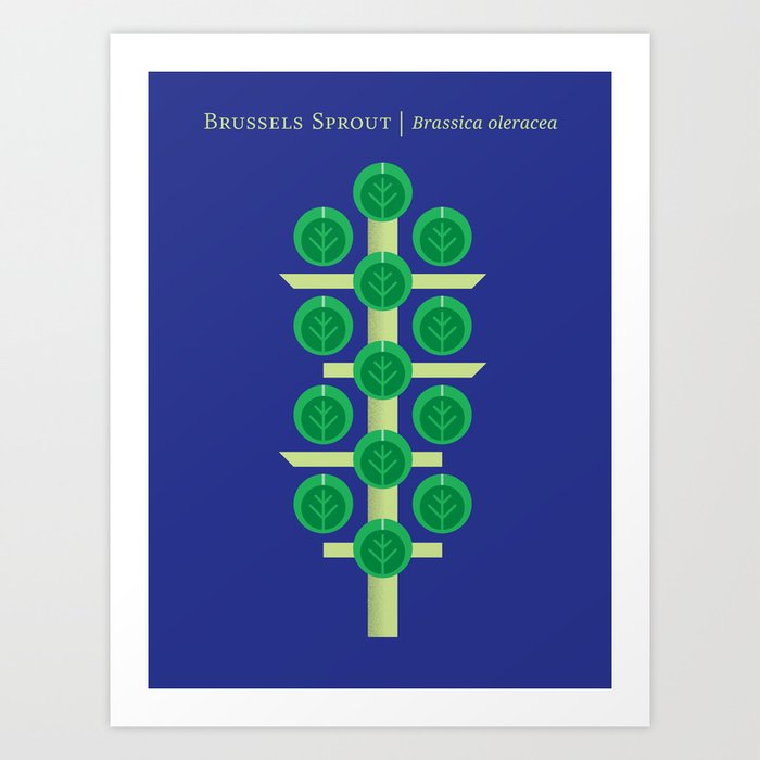 Vegetable: Brussels Sprout Blue Art Print