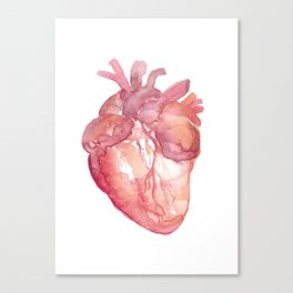 Heart Canvas Print