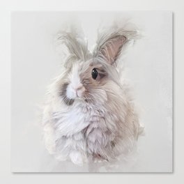 Dwarf Angora Rabbit Wildlife Portrait Canvas Print