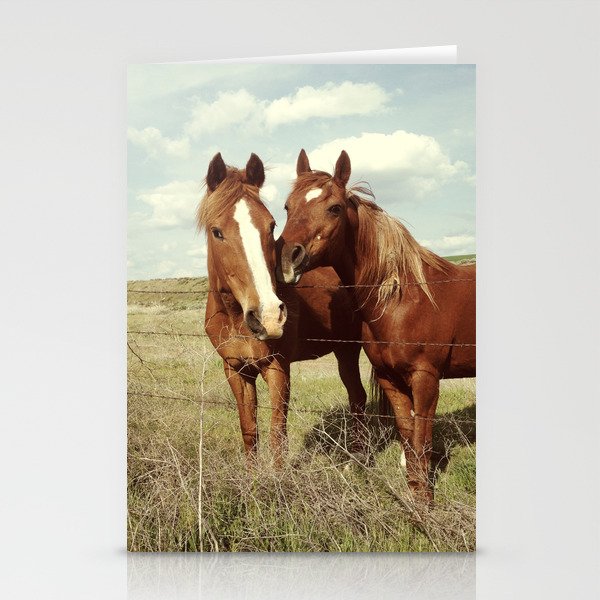 Horse Affection Stationery Cards