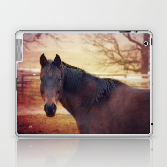 Horse Laptop & iPad Skin