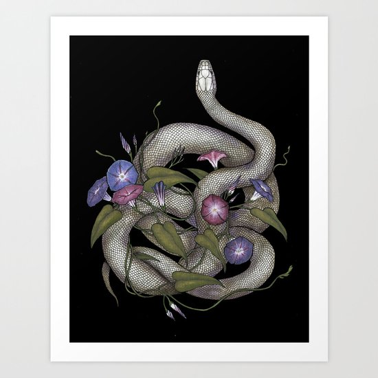Morning Glories Art Print