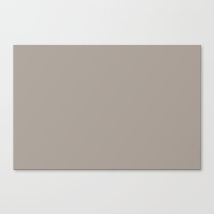 Midtone Dusty Gray - Grey Brown Solid Color Pairs PPG Winter's Nap PPG1018-4 - All - Single Shade Canvas Print