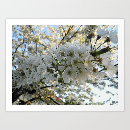 Tree flowers Art Print