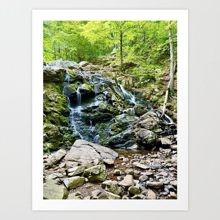 Waterfall in the Valley Art Print