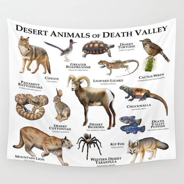 Desert Animals of Death Valley Wall Tapestry by Wildlife Art by Roger Hall  | Society6