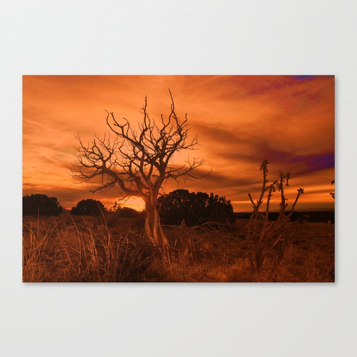 Desert Tree Canvas Print