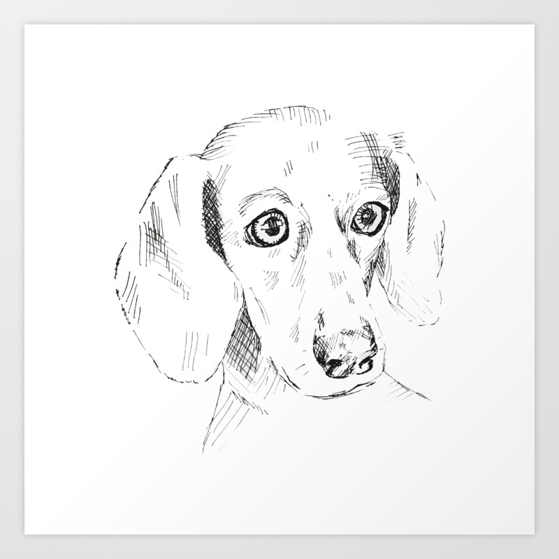 sausage dog drawing