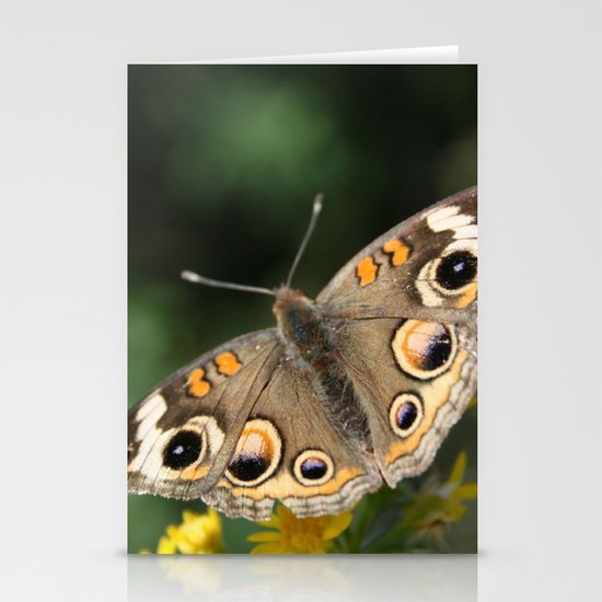Common Buckeye Stationery Cards