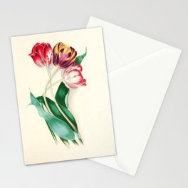 Tulips by Clarissa Munger Badger, "Floral Belles," 1866 (benefitting The Nature Conservancy) Stationery Card