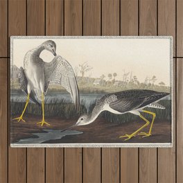 Tell-tale Godwit or Snipe from Birds of America (1827) by John James Audubon  Outdoor Rug