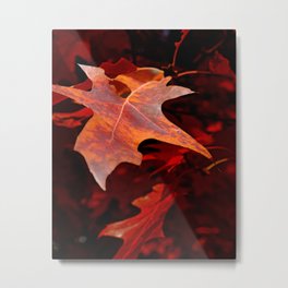 Autumn leaf Metal Print