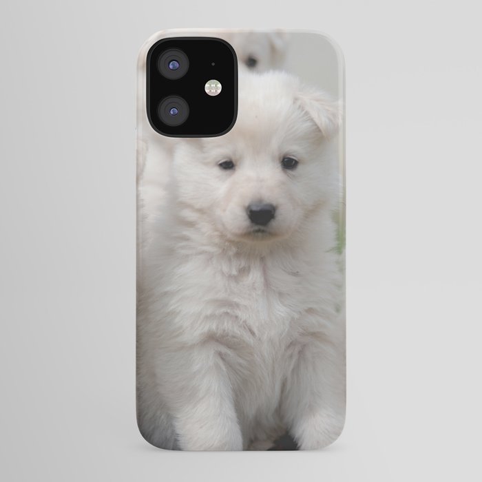 Sugar Sweet 4 White Swiss Shepherd Dogs Iphone Case By Tanjariedel Society6