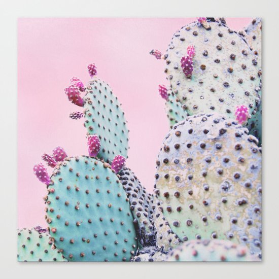 Pink Crush Cactus I Canvas Print