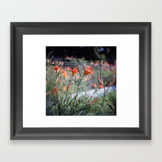 Day Lilies Framed Art Print