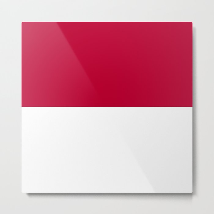 Indonesia flag emblem Metal Print