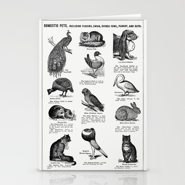 Bird Breeds Stationery Cards