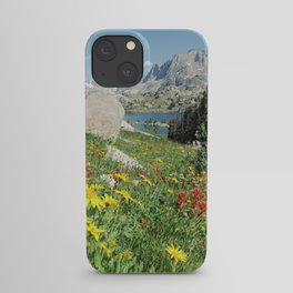 August Wildflowers in the Rockies iPhone Case