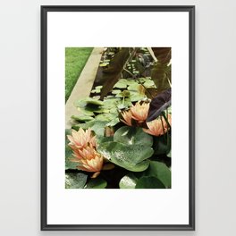 Lily Framed Art Print