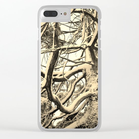 SNOW DUSTED CEDAR BRANCHES Clear iPhone Case