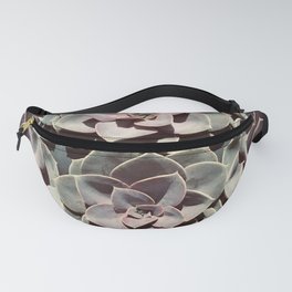 Starting Succulents Fanny Pack