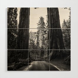 Twin giant redwoods II portrait version / sequoias Pacific Coast California nature black and white landscape photograph / photography Wood Wall Art