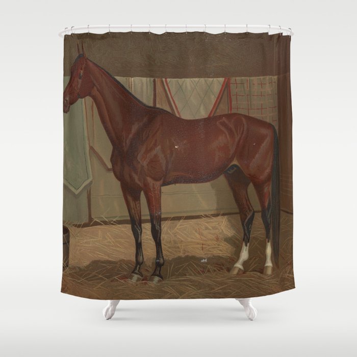 Vintage Race Horse Illustration (1882) Shower Curtain