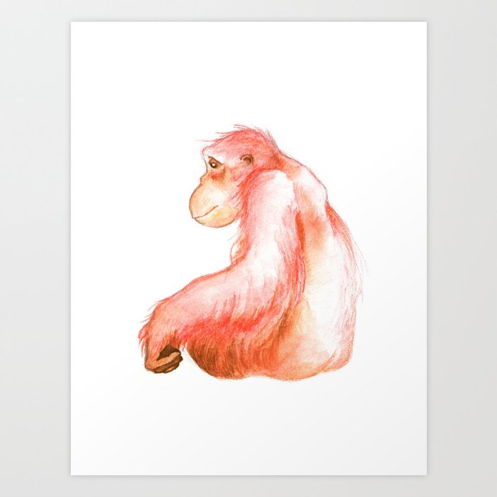 Elka, Orangutan Watercolor Art Print