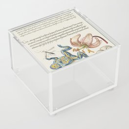 Vintage Calligraphic poster flowers and frog Acrylic Box