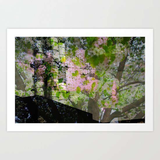 Luminosity Art Print