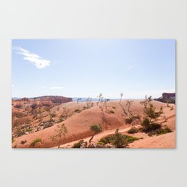Bryce Canyon Trees Canvas Print