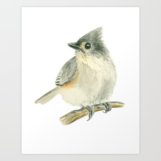 Tit bird, watercolor painting Art Print