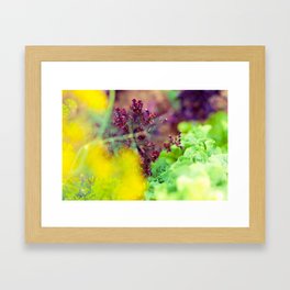 Colorful Vegetables Framed Art Print