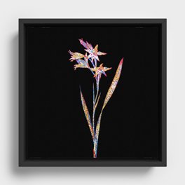 Floral Gladiolus Cuspidatus Mosaic on Black Framed Canvas