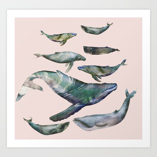 whales Art Print