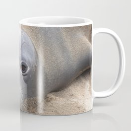 Northern Elephant Seal Coffee Mug