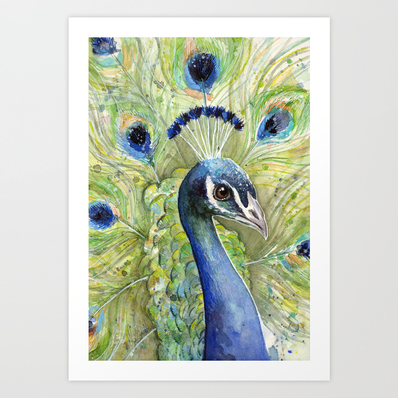 Peacock Watercolor Painting Exotic Birds Art Print By Olechka