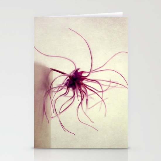 spider Stationery Cards