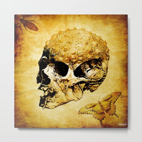 The last home of the mystic butterfly Metal Print