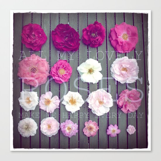 Rose Canvas Print