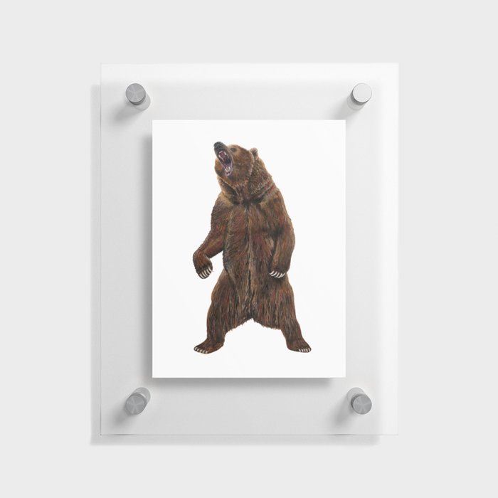 Grizzly Bear - Painting in acrylic Floating Acrylic Print