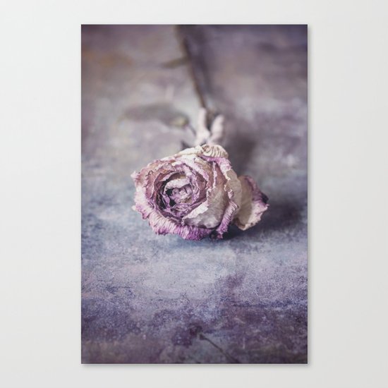 Dried Rose Canvas Print