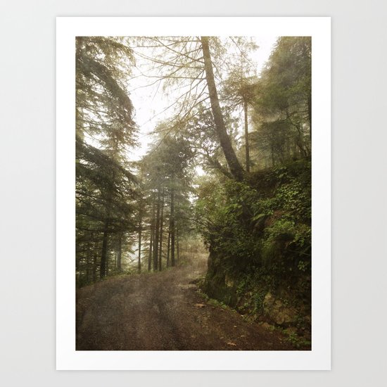 A foggy road in the forest, Dharamsala, India Art Print