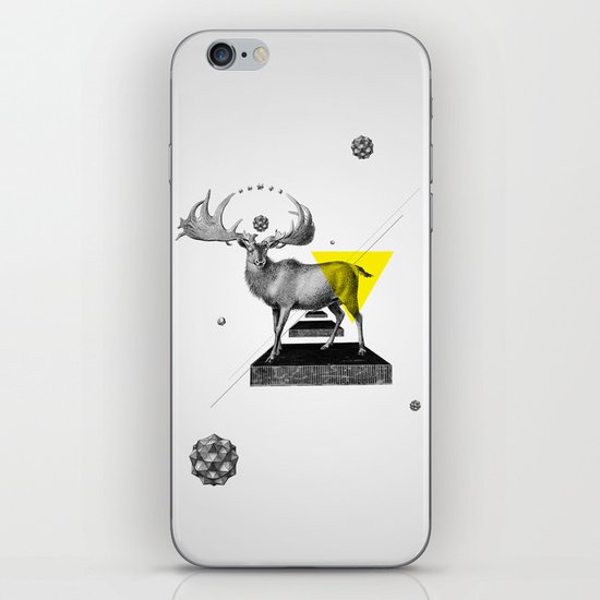 Archetypes Series: Dignity iPhone & iPod Skin